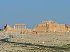 Palmyre - 