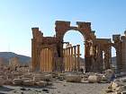 Palmyre - 