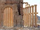 Palmyre - 