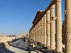Palmyre - 