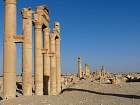 Palmyre - 