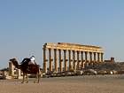 Palmyre - 