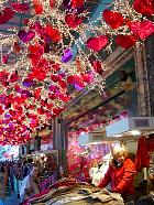 Noël - Le Printemps