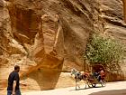 Petra 1 - Siq (ou dfil)