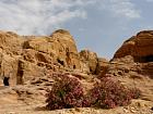 Petra 2 - 