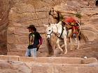 Petra 2 - 