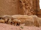 Petra 2 - 