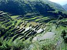 Philippines - Rizire de Maligcong (4 km de Bontoc)