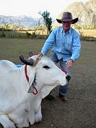 Pinar del Rio, Viales - Viales