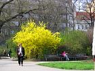 Prague - Place Karlovo