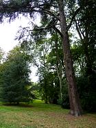 Le Désert de Retz - Cdre