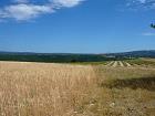 Ventoux, Sault - 