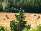 Ventoux, Sault - 