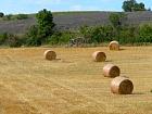 Ventoux, Sault - 