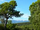 Ventoux, Sault - Mont Ventoux