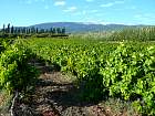 Ventoux, Sault - 