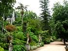 Sintra - Balcon des Dieux