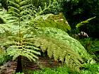 Sintra - 