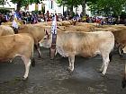 Saint-Geniez d'Olt et la transhumance - 