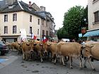Saint-Geniez d'Olt et la transhumance - 