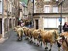 Saint-Geniez d'Olt et la transhumance - 