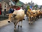 Saint-Geniez d'Olt et la transhumance - 
