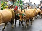 Saint-Geniez d'Olt et la transhumance - 