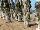 Saint-Malo - 