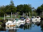 De Bignaos au parc du Teich et Gujan-Mestras - Port de Biganos