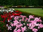 Tokyo - Parc de Shinjuku