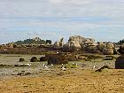 Rochers de Trégastel  - Château de Costaérès