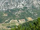 Ventoux, Sault - 