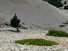 Ventoux, Sault - 