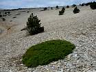 Ventoux, Sault - 