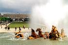 Le jardin du château de Versailles  - Le bassin d'Apollon