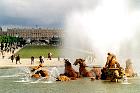 Le jardin du château de Versailles  - Le bassin d'Apollon