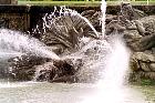 Le jardin du château de Versailles  - Le bassin de Neptune