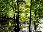 Vallée du Cousin - 