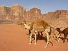 Wadirum - Jebel um Ishrin